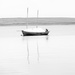 TRANQUIL BOAT TWO by markp