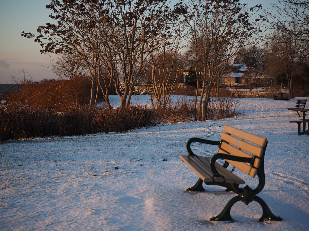 Lonely Bench by selkie