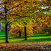 Autumn Trees by tonygig
