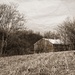 A Country Barn by digitalrn