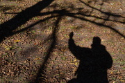 21st Nov 2014 - My Shadow (one in an ongoing series)