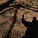 My Shadow (one in an ongoing series) by congaree