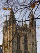 19th Nov 2014 - Canterbury Cathedral