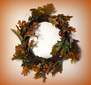 21st Nov 2014 - Autumn wreath