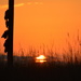 Redneck Sunrise by kareenking
