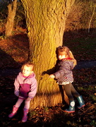 14th Nov 2014 - A spot of tree hugging ?