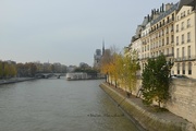 20th Nov 2014 - gorgeous day in Paris 
