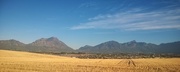 22nd Nov 2014 - The Tulbagh Valley