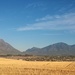 The Tulbagh Valley by salza