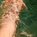 2014 11 22 Watery Feet Selfie by kwiksilver