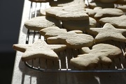 22nd Nov 2014 - Sugar Cookies