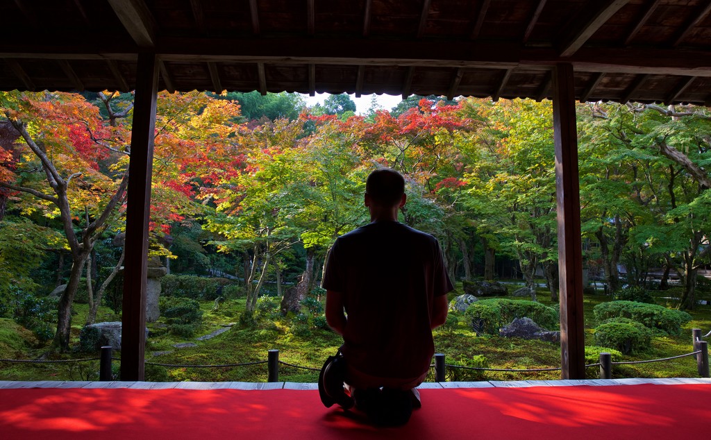 Early Morning Contemplation at Enko-ji by jyokota