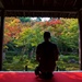 Early Morning Contemplation at Enko-ji by jyokota