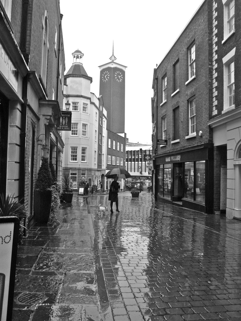 Rainy Day in Shrewsbury by daffodill