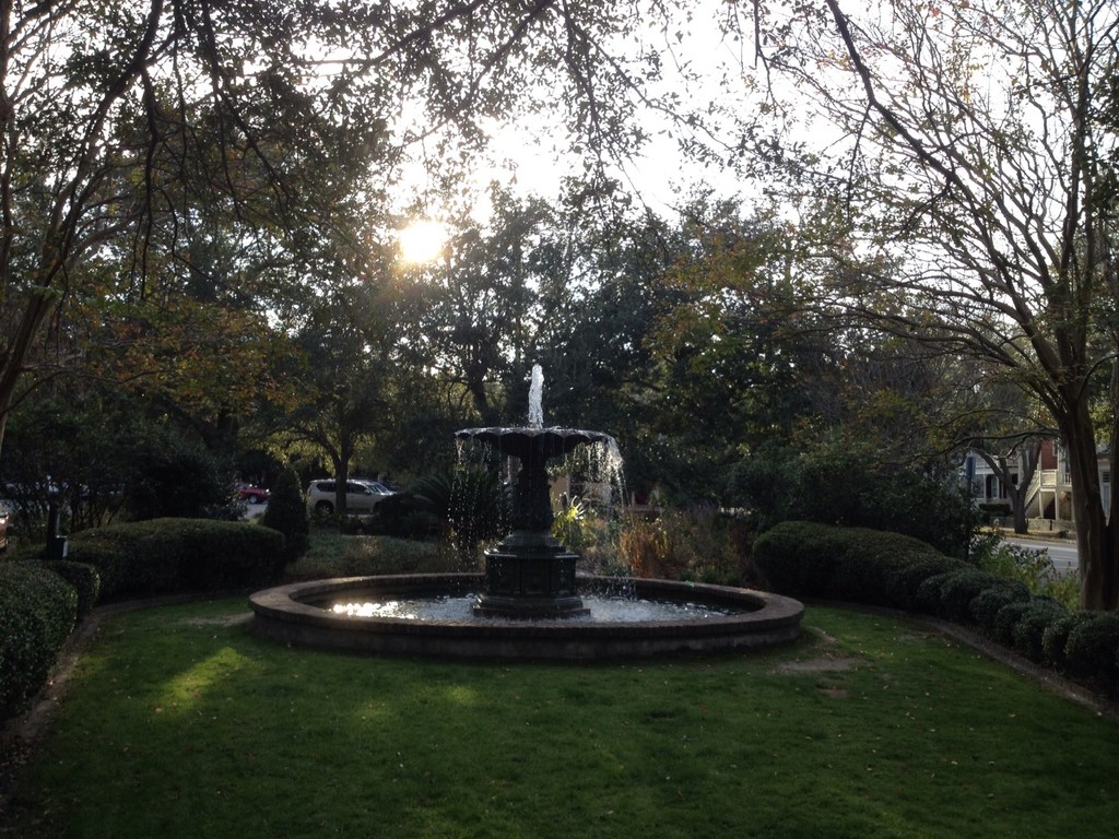 Chapel Street Park, Wraggborough Neighborhood, Charleston, SC by congaree