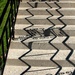 shadows on steps by summerfield