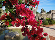 16th Nov 2014 - The Coral Castle