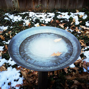 21st Nov 2014 - The Frozen Birdbath