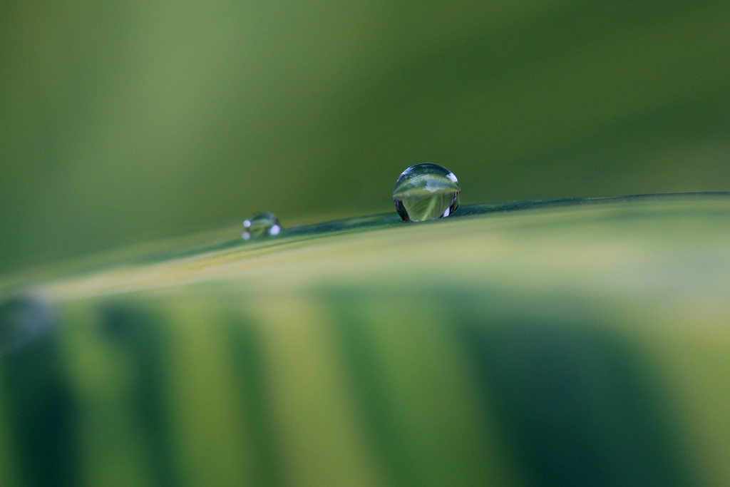 Another droplet... by ingrid01