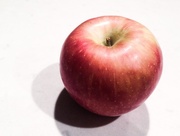 23rd Nov 2014 - an apple a day...