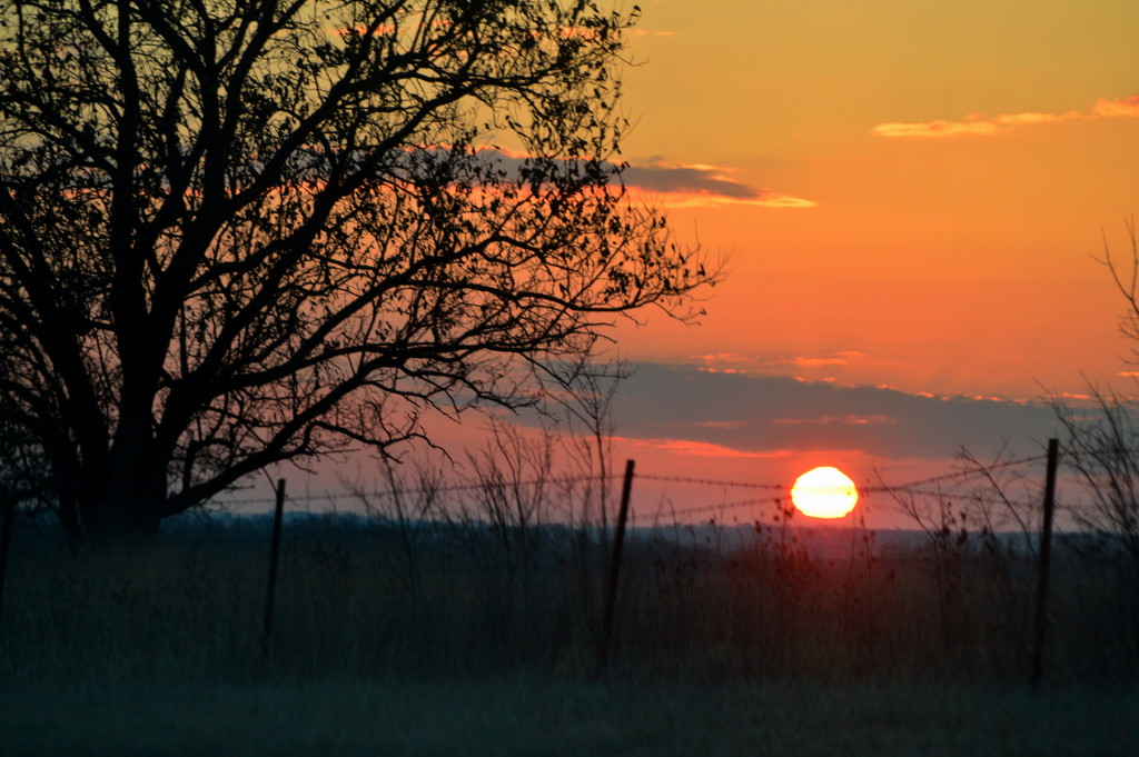 Cross Rise by kareenking