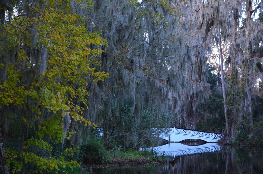 The long bridge, Magnolia Gardens, Charleston, SC by congaree