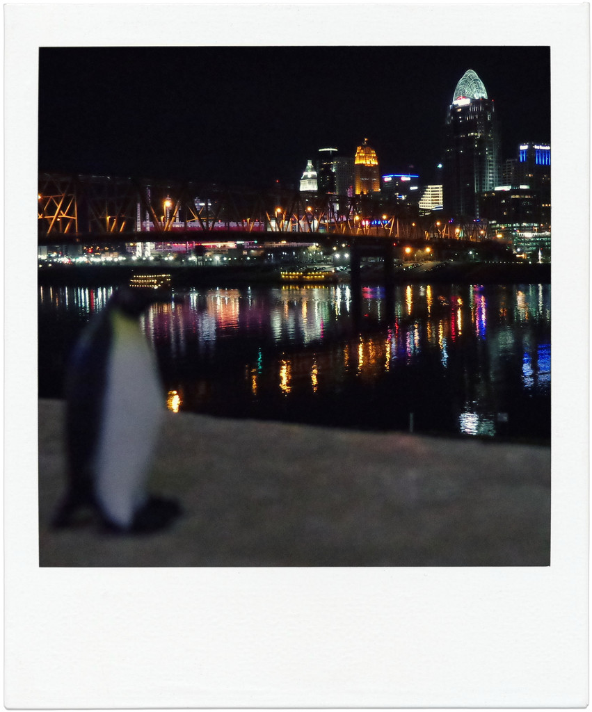 Emperor Penguin Visits Queen (City) by alophoto