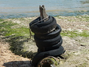 19th Sep 2014 - Tyred