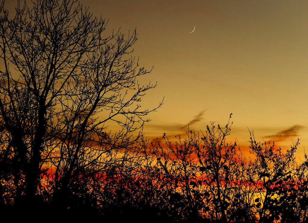 sunset with crescent moon by quietpurplehaze