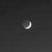 Moon Sliver with a Shadow  by april16