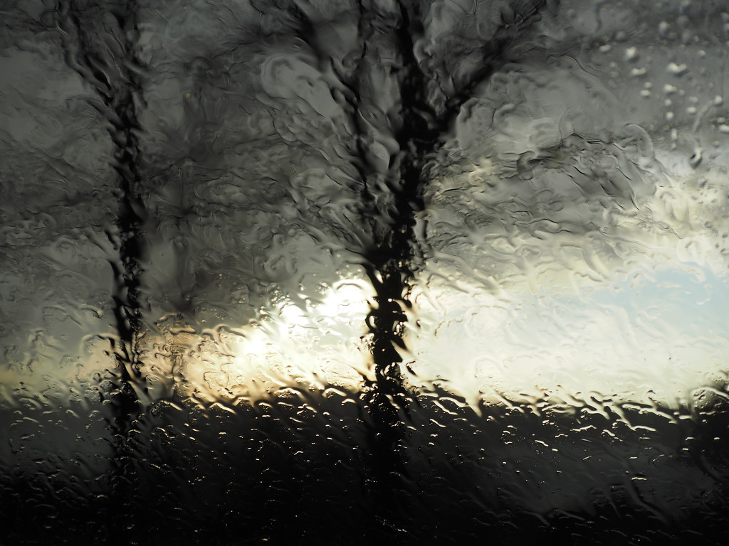 Rain on the Window by selkie