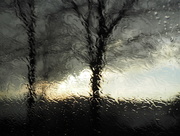 24th Nov 2014 - Rain on the Window