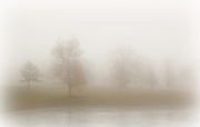 22nd Nov 2014 - Dense Fog