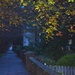 Historic district, Autumn sidewalk, Charleston, SC by congaree