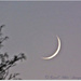 Crescent Moon by carolmw