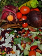 25th Nov 2014 - garden goodies collage