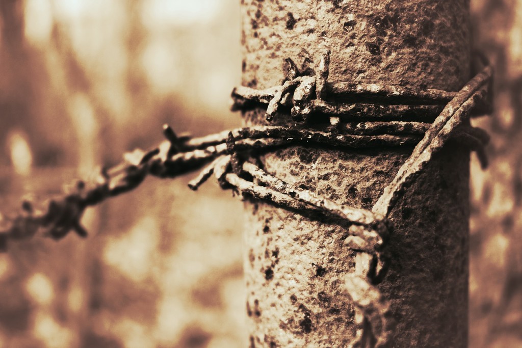 Blest Be the Ties That Bind by juliedduncan