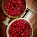 Cranberry Relish by darylo