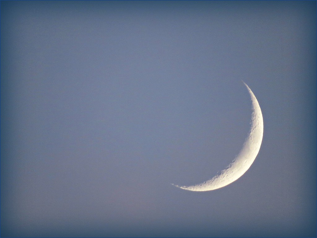 Crescent Moon  by olivetreeann