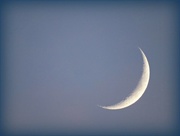 25th Nov 2014 - Crescent Moon 