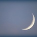 Crescent Moon  by olivetreeann