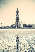 13th Nov 2014 - Day 317, Year 2 - Blackpool Tower In Sepia