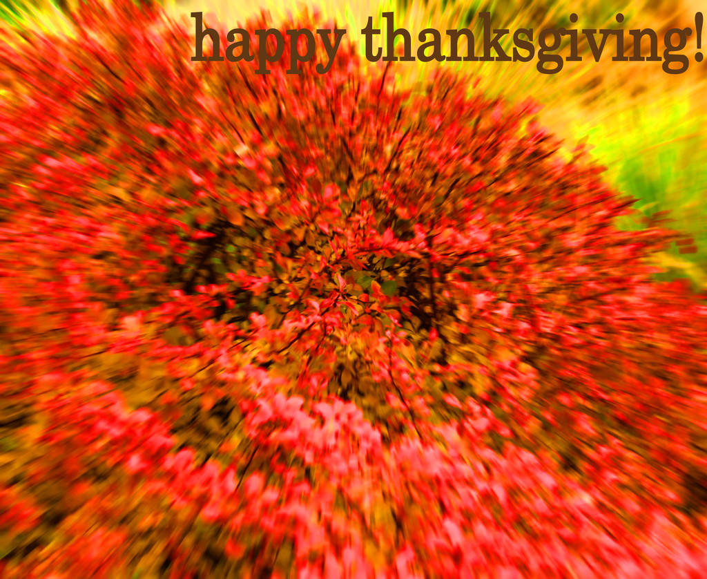 happy thanksgiving by nanderson