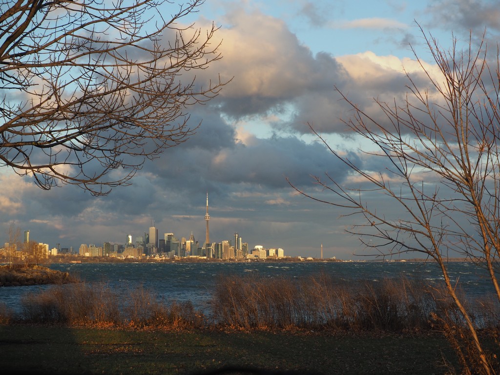 Toronto by selkie