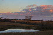 26th Nov 2014 - Pond at Sunrise