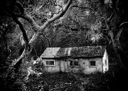 23rd Oct 2010 - Abandoned