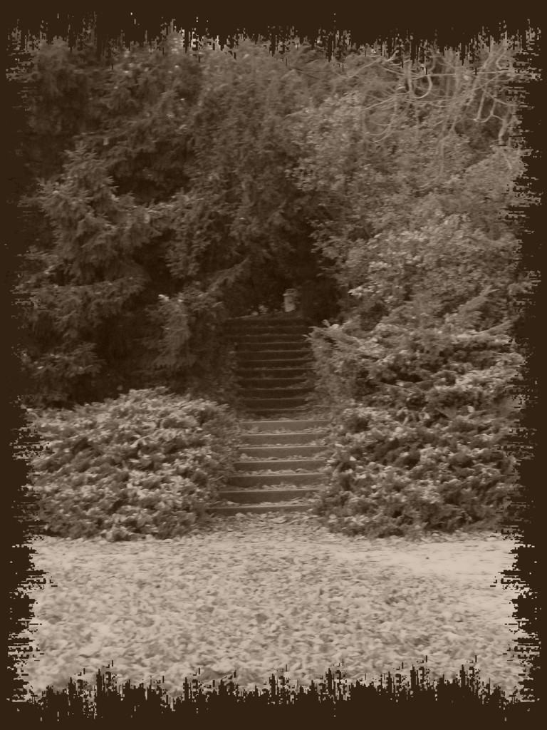 Stairs to the unknown... by gabis