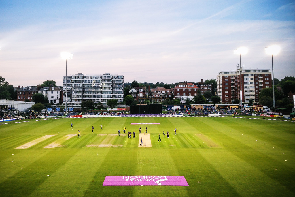 Day 217, Year 2 - Last Minute Hope In Hove  by stevecameras
