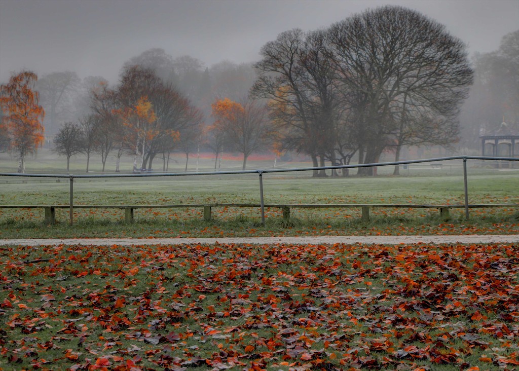 Misty Autumn Day.. by shepherdmanswife