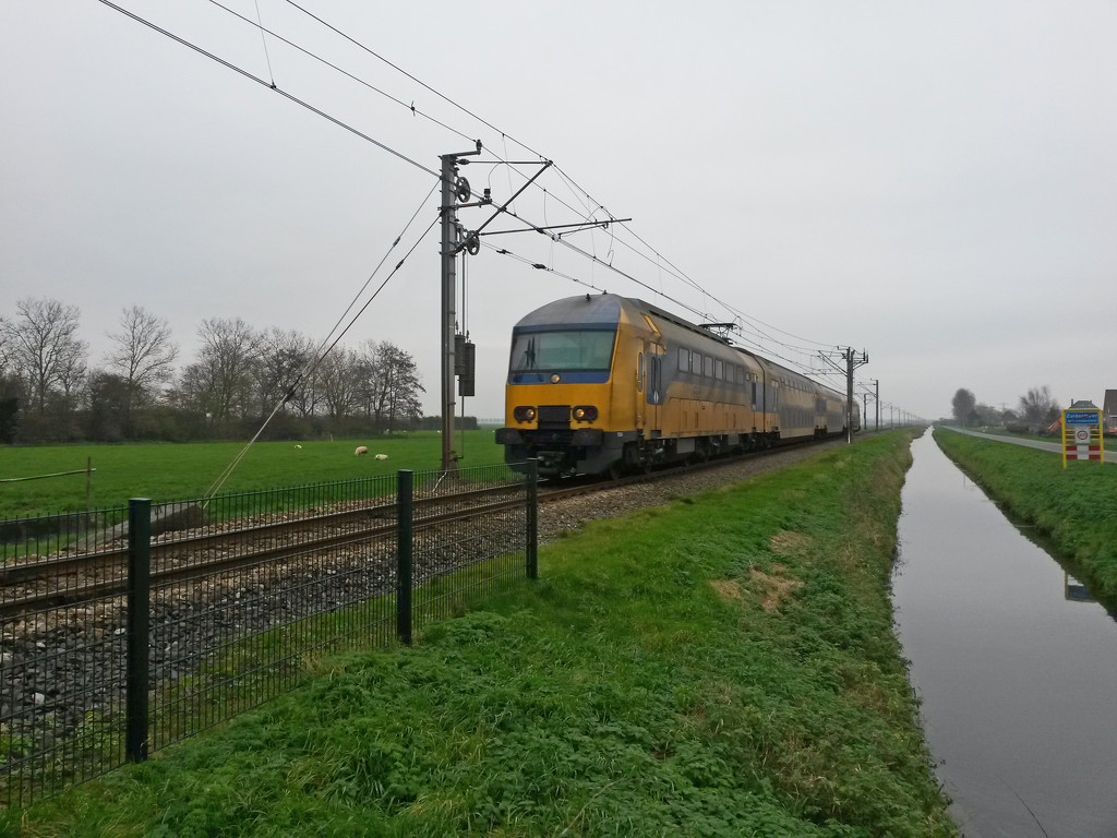 Zuidermeer - Zuidermeerweg by train365